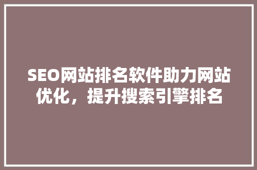 SEO网站排名软件助力网站优化，提升搜索引擎排名