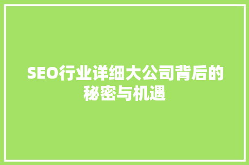 SEO行业详细大公司背后的秘密与机遇