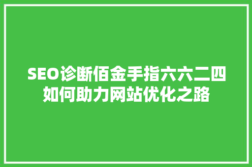 SEO诊断佰金手指六六二四如何助力网站优化之路