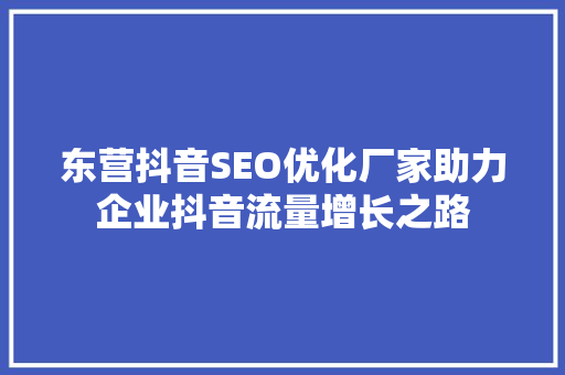 东营抖音SEO优化厂家助力企业抖音流量增长之路