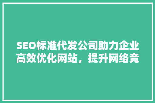 SEO标准代发公司助力企业高效优化网站，提升网络竞争力