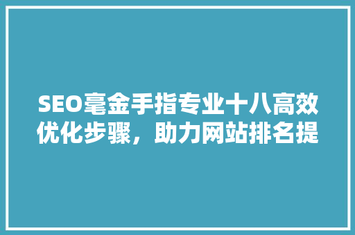 SEO毫金手指专业十八高效优化步骤，助力网站排名提升