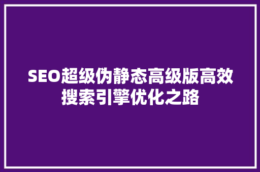 SEO超级伪静态高级版高效搜索引擎优化之路