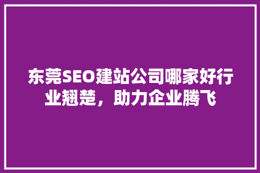东莞SEO建站公司哪家好行业翘楚，助力企业腾飞
