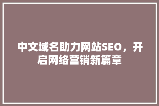 中文域名助力网站SEO，开启网络营销新篇章