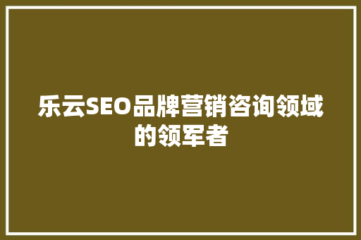 乐云SEO品牌营销咨询领域的领军者