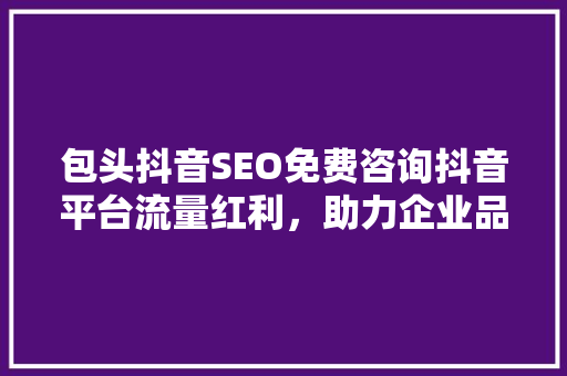 包头抖音SEO免费咨询抖音平台流量红利，助力企业品牌腾飞