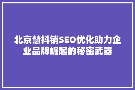 北京慧抖销SEO优化助力企业品牌崛起的秘密武器