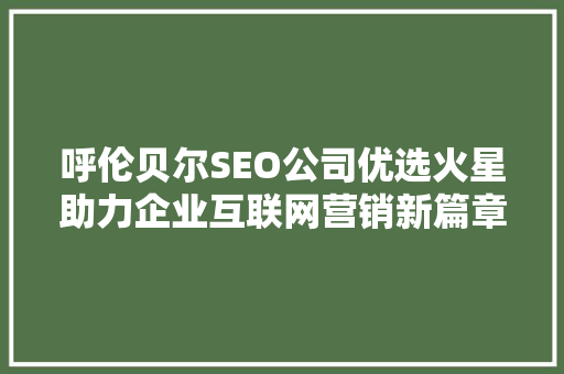 呼伦贝尔SEO公司优选火星助力企业互联网营销新篇章