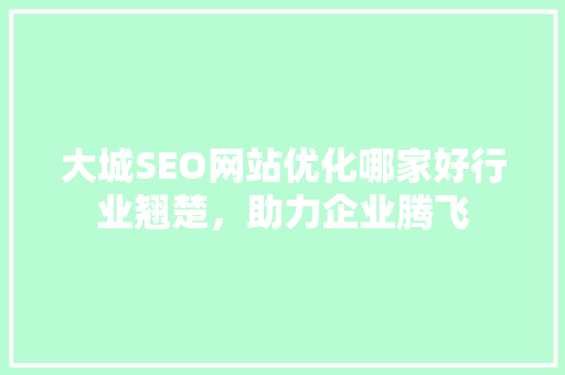 大城SEO网站优化哪家好行业翘楚，助力企业腾飞