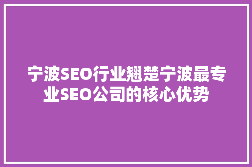 宁波SEO行业翘楚宁波最专业SEO公司的核心优势