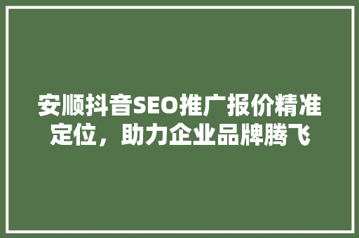 安顺抖音SEO推广报价精准定位，助力企业品牌腾飞