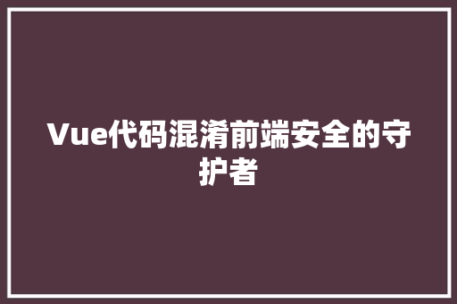 Vue代码混淆前端安全的守护者