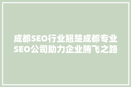 成都SEO行业翘楚成都专业SEO公司助力企业腾飞之路