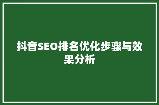 抖音SEO排名优化步骤与效果分析