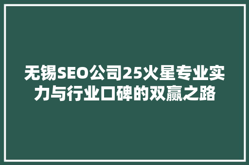 无锡SEO公司25火星专业实力与行业口碑的双赢之路