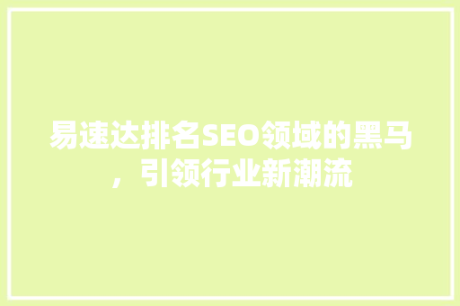 易速达排名SEO领域的黑马，引领行业新潮流