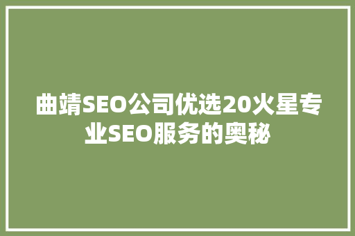 曲靖SEO公司优选20火星专业SEO服务的奥秘