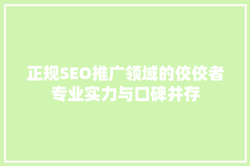 正规SEO推广领域的佼佼者专业实力与口碑并存
