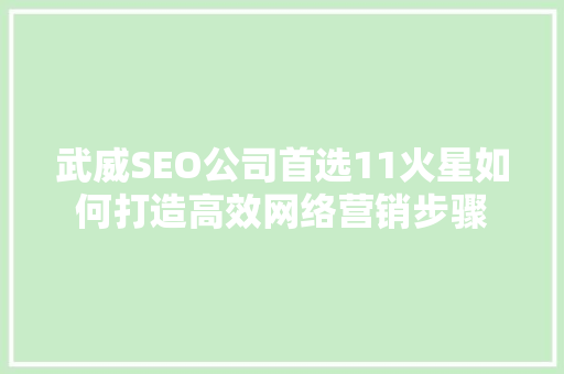 武威SEO公司首选11火星如何打造高效网络营销步骤