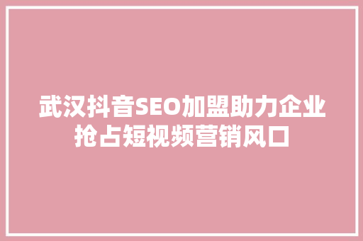武汉抖音SEO加盟助力企业抢占短视频营销风口