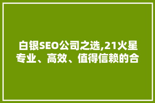 白银SEO公司之选,21火星专业、高效、值得信赖的合作伙伴