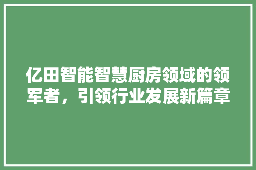 亿田智能智慧厨房领域的领军者，引领行业发展新篇章