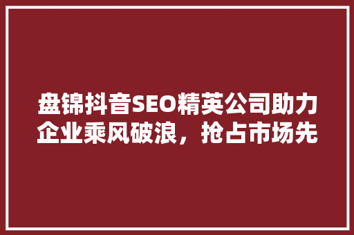 盘锦抖音SEO精英公司助力企业乘风破浪，抢占市场先机