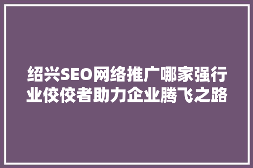 绍兴SEO网络推广哪家强行业佼佼者助力企业腾飞之路