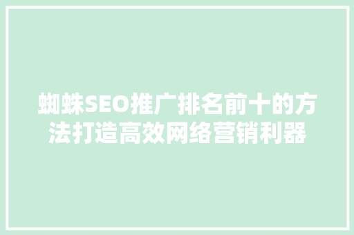 蜘蛛SEO推广排名前十的方法打造高效网络营销利器