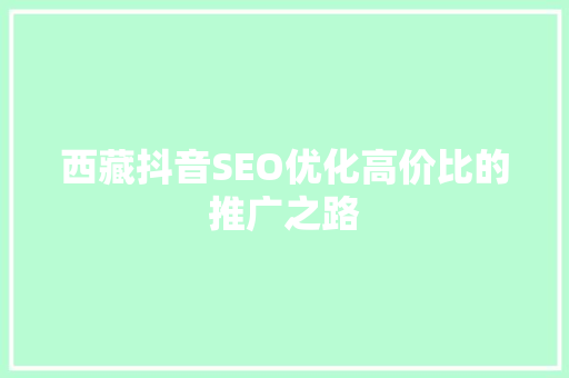 西藏抖音SEO优化高价比的推广之路