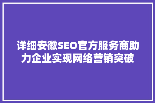 详细安徽SEO官方服务商助力企业实现网络营销突破