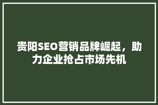 贵阳SEO营销品牌崛起，助力企业抢占市场先机