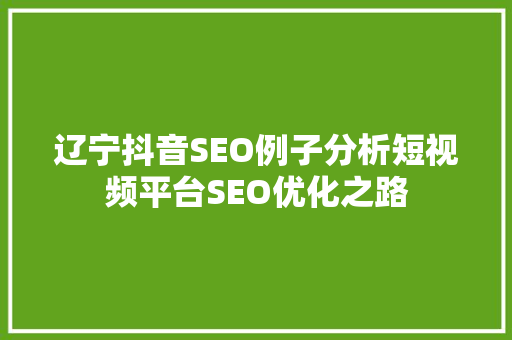 辽宁抖音SEO例子分析短视频平台SEO优化之路