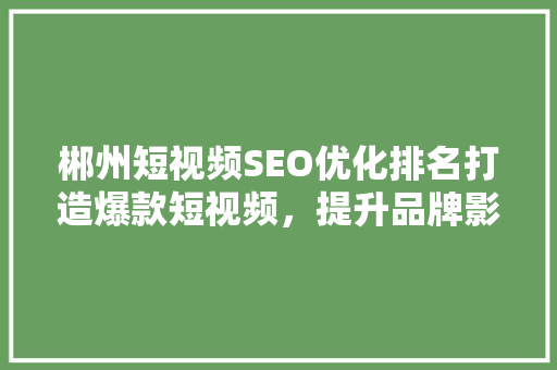 郴州短视频SEO优化排名打造爆款短视频，提升品牌影响力