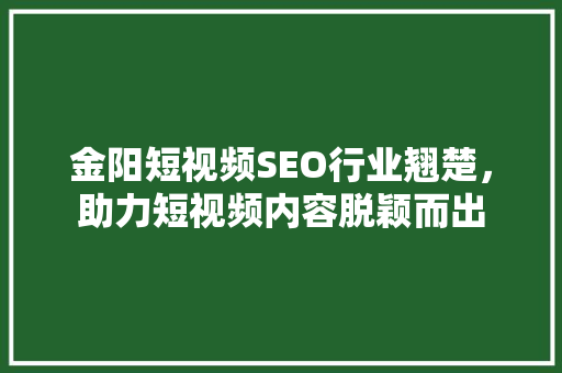 金阳短视频SEO行业翘楚，助力短视频内容脱颖而出