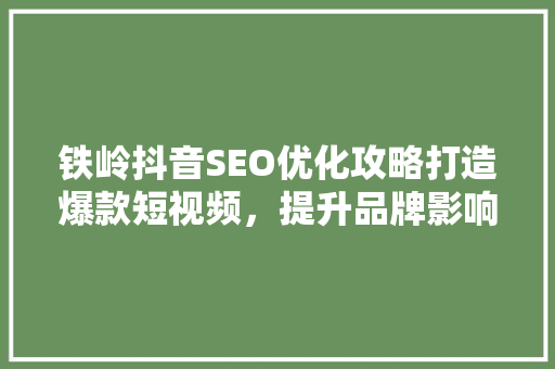 铁岭抖音SEO优化攻略打造爆款短视频，提升品牌影响力