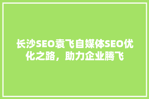 长沙SEO袁飞自媒体SEO优化之路，助力企业腾飞