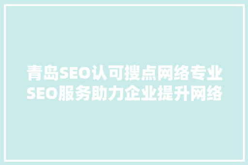 青岛SEO认可搜点网络专业SEO服务助力企业提升网络影响力