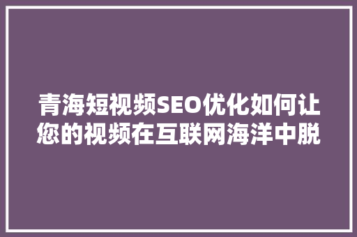 青海短视频SEO优化如何让您的视频在互联网海洋中脱颖而出