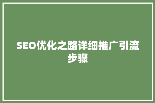 SEO优化之路详细推广引流步骤