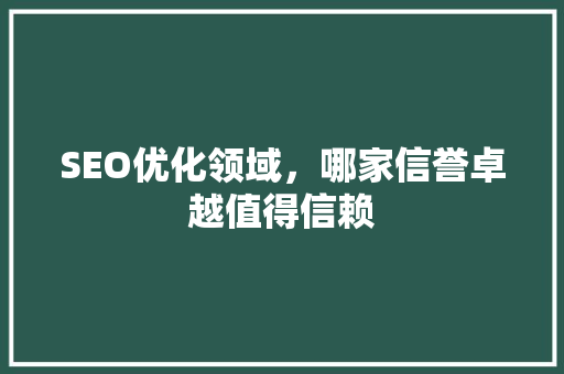 SEO优化领域，哪家信誉卓越值得信赖