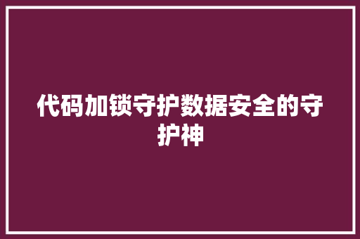 代码加锁守护数据安全的守护神