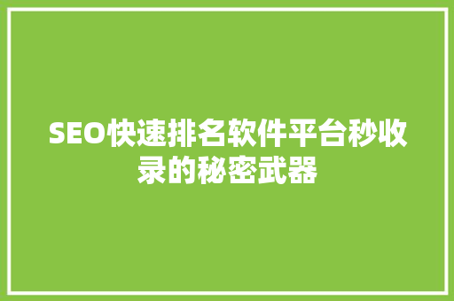 SEO快速排名软件平台秒收录的秘密武器