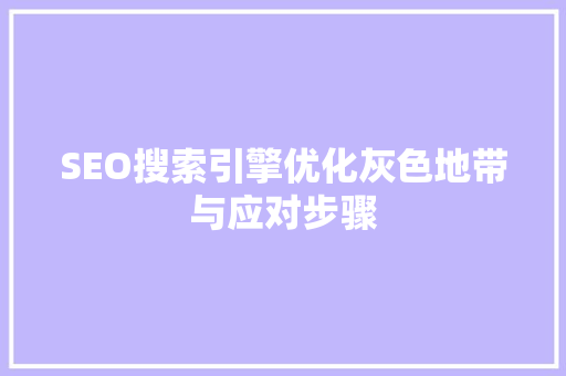 SEO搜索引擎优化灰色地带与应对步骤