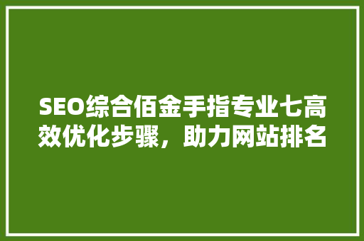 SEO综合佰金手指专业七高效优化步骤，助力网站排名飞跃