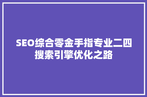 SEO综合零金手指专业二四搜索引擎优化之路