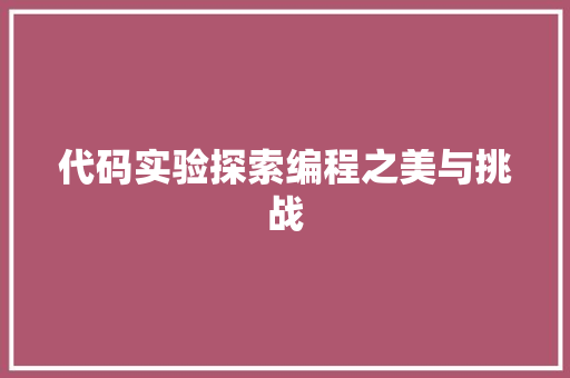 代码实验探索编程之美与挑战