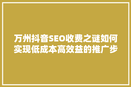 万州抖音SEO收费之谜如何实现低成本高效益的推广步骤