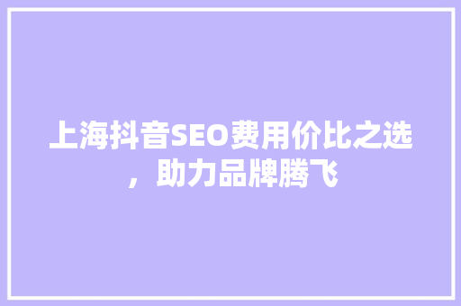 上海抖音SEO费用价比之选，助力品牌腾飞